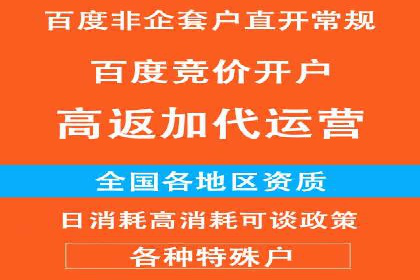 百度推广托管的成功策略：多角度解析案例